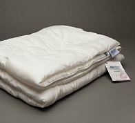 Одеяло стеганое с кантом 200х220 см German Grass Silk Familie Bio FB-7540
